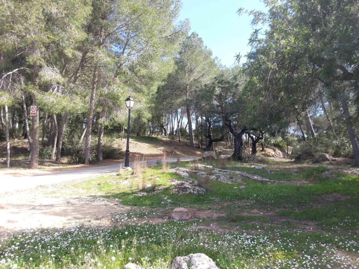 Villa Conchin Casa Junto A Parque Natural Alberic Kültér fotó